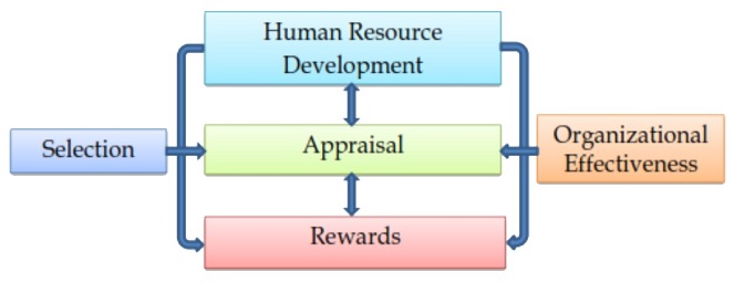 Business HRM Implementation Process